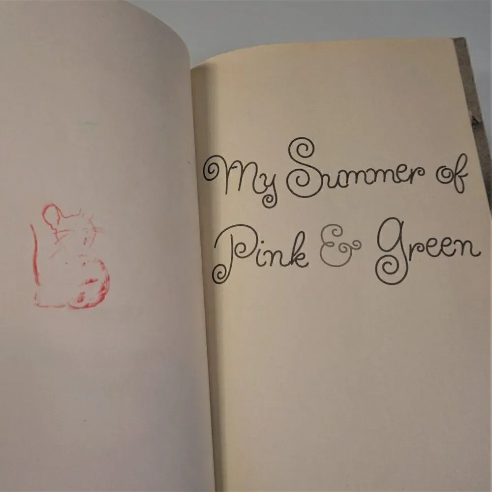 My Summer of Pink And Green By Lisa Greenwald 2013 Paperback Juvenile Fiction